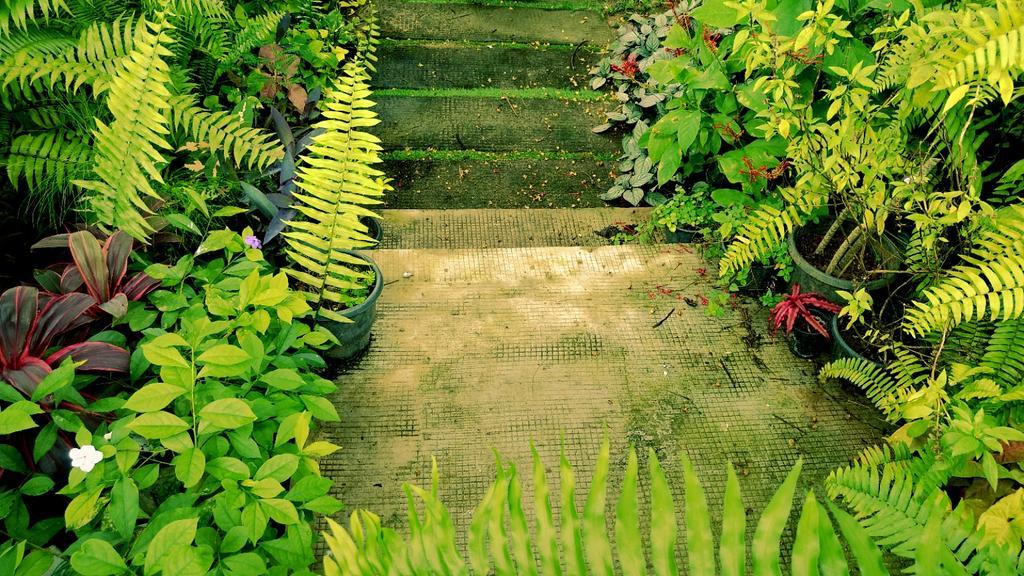 Villa Mariana Kochi 外观 照片